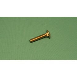 Advanced 1" Valve Bolt Stainless Steel
